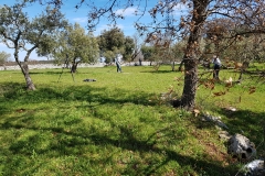scavi_Fasano_Ostuni_Monopoli_5